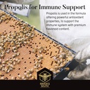 manuka-honey-drops-umf-15-mgo-514-propol-6.jpg