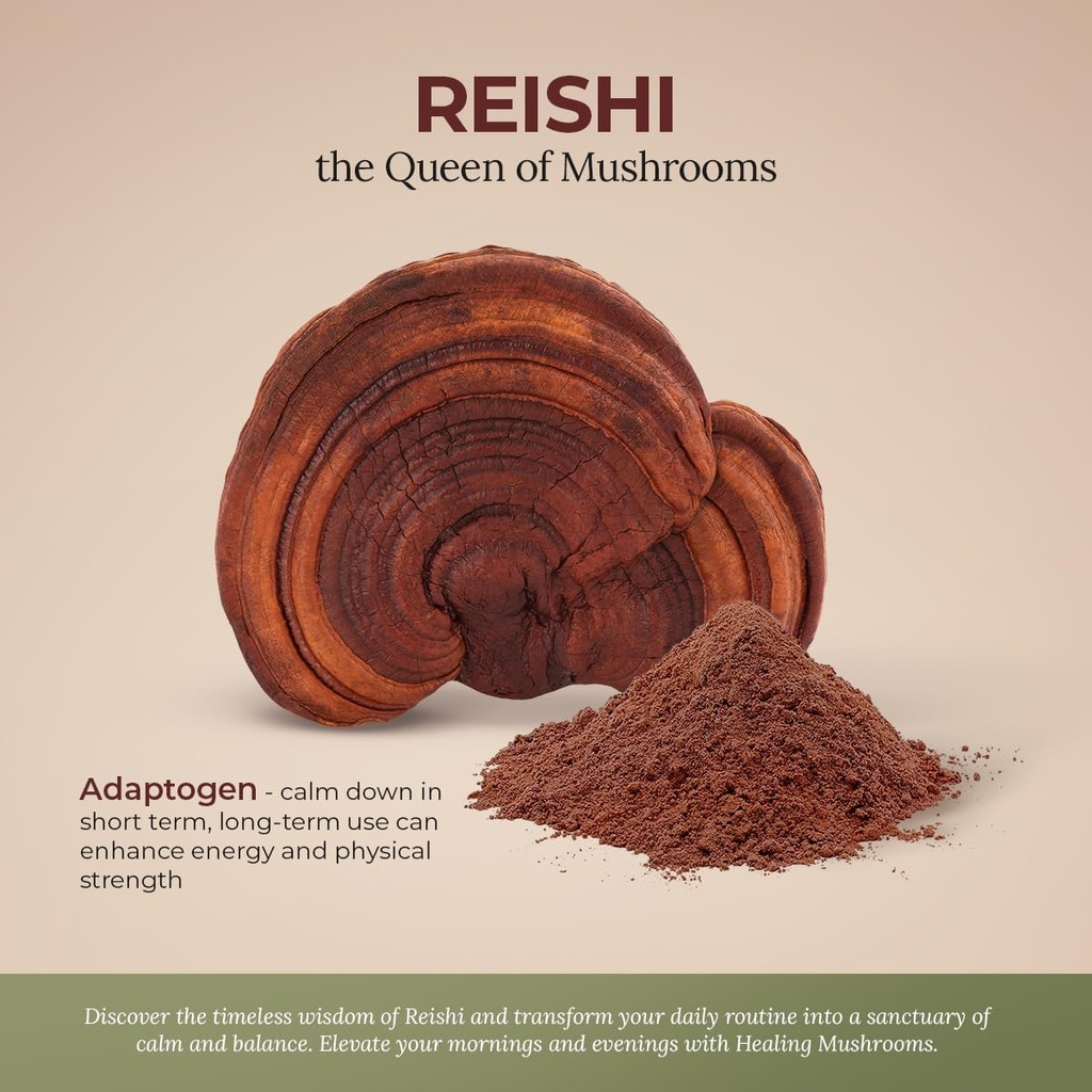 reishi-pure-powder-organic-mushroom-supp-3.jpg