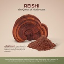 reishi-pure-powder-organic-mushroom-supp-3.jpg
