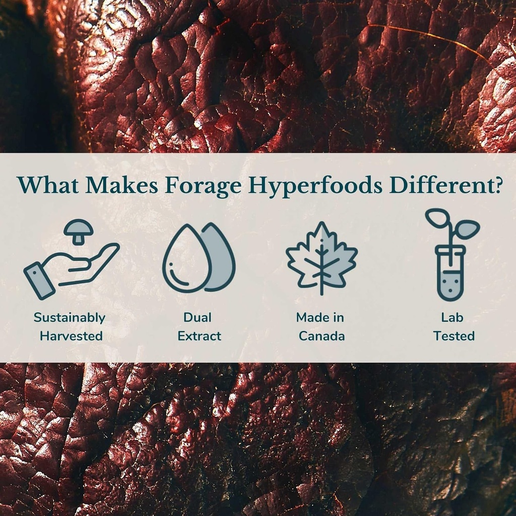 forage-hyperfoods--original-canadian-wil-6.jpg