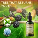 chlorophyll-liquid-drops-organic-natural-3.jpg