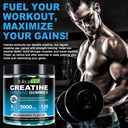 creatine-gummies-for-men-women---120-cou-3.jpg