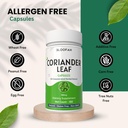 coriander-leaf-capsules-500mg-concentrat-6.jpg