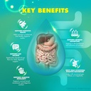 rize-labs-colon-clean-pro-capsules-colon-4.jpg