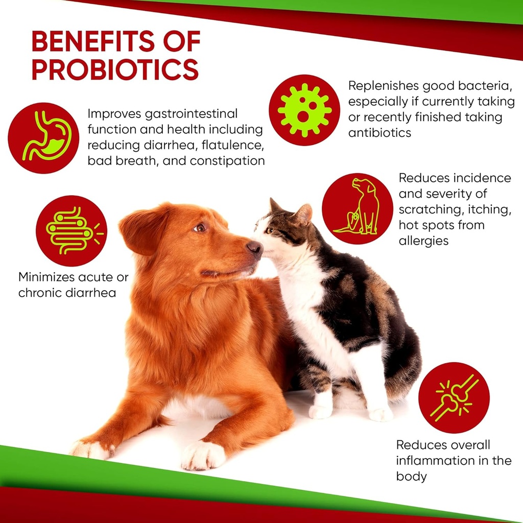 probiotics-for-dogs-and-cats---advanced--6.jpg
