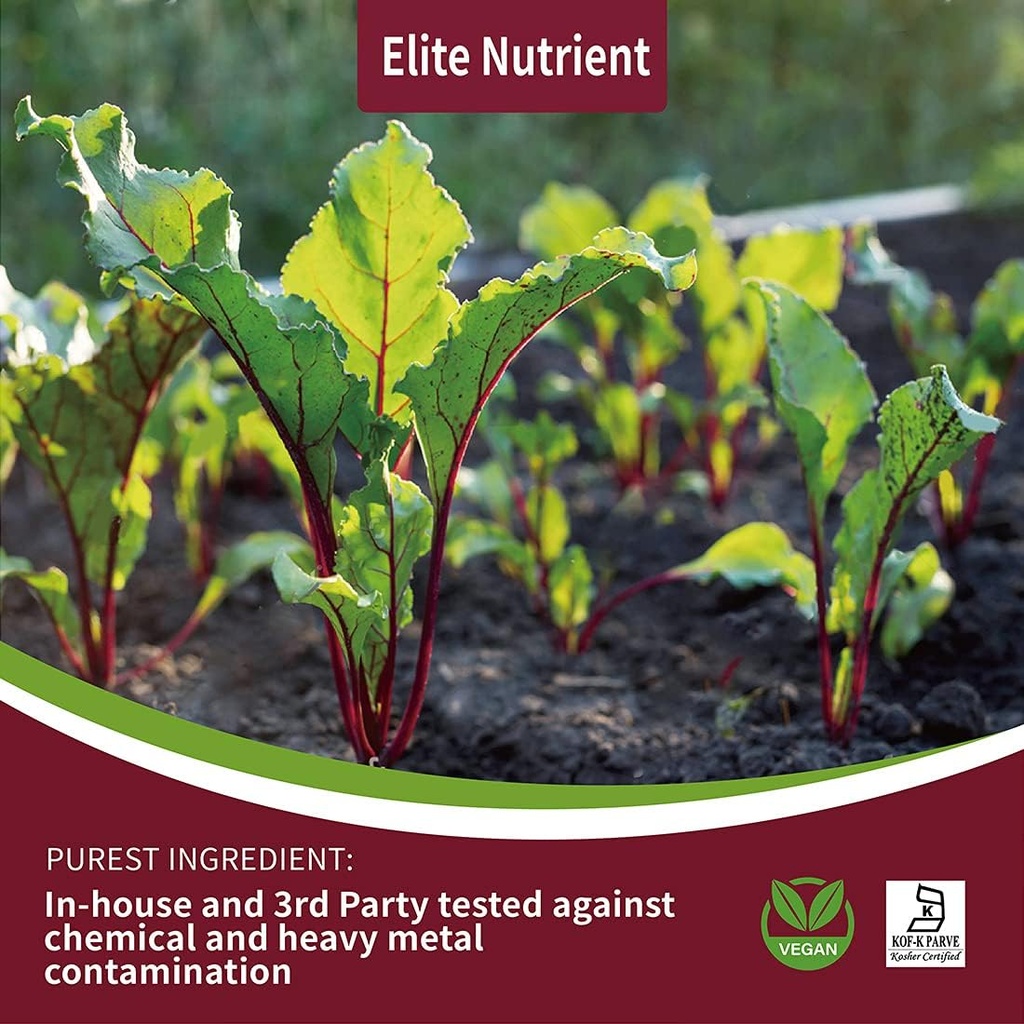 organic-beet-root-powder-non-gmo-gluten--4.jpg
