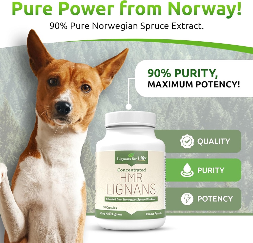 lignans-for-life-hmr-lignans-20mg---90-c-3.jpg
