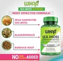 organic-sea-moss-capsules---bladderwrack-4.jpg
