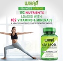 organic-sea-moss-capsules---bladderwrack-6.jpg