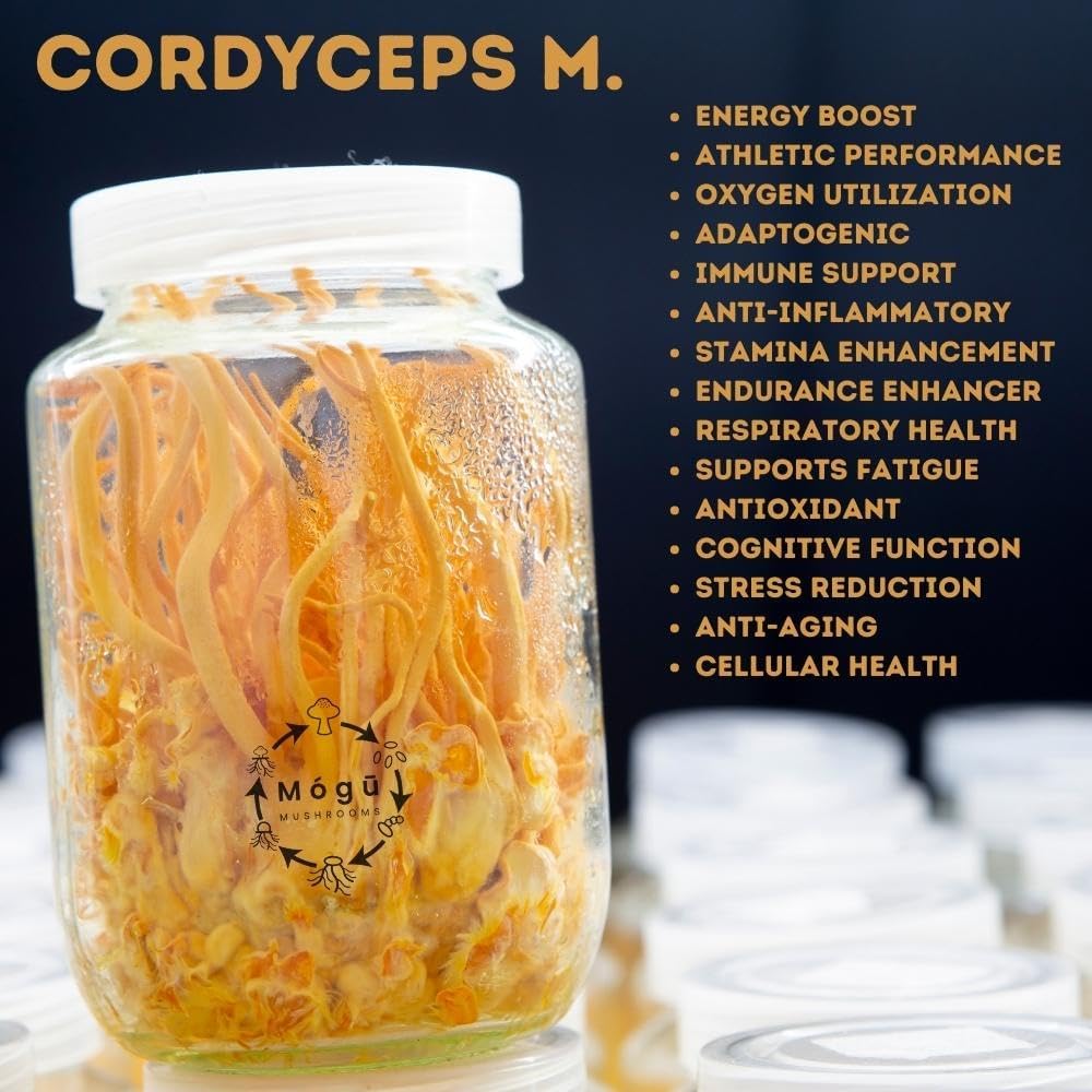 body-mind---pure-organic-lions-mane-cord-6.jpg