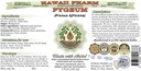 african-cherry-pygeum-alcohol-free-liqui-2.jpg