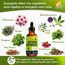 cat-dog-vitamins-and-supplements-cat-mul-4.jpg
