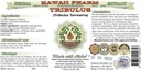 tribulus-alcohol-free-liquid-extract-tri-2.jpg