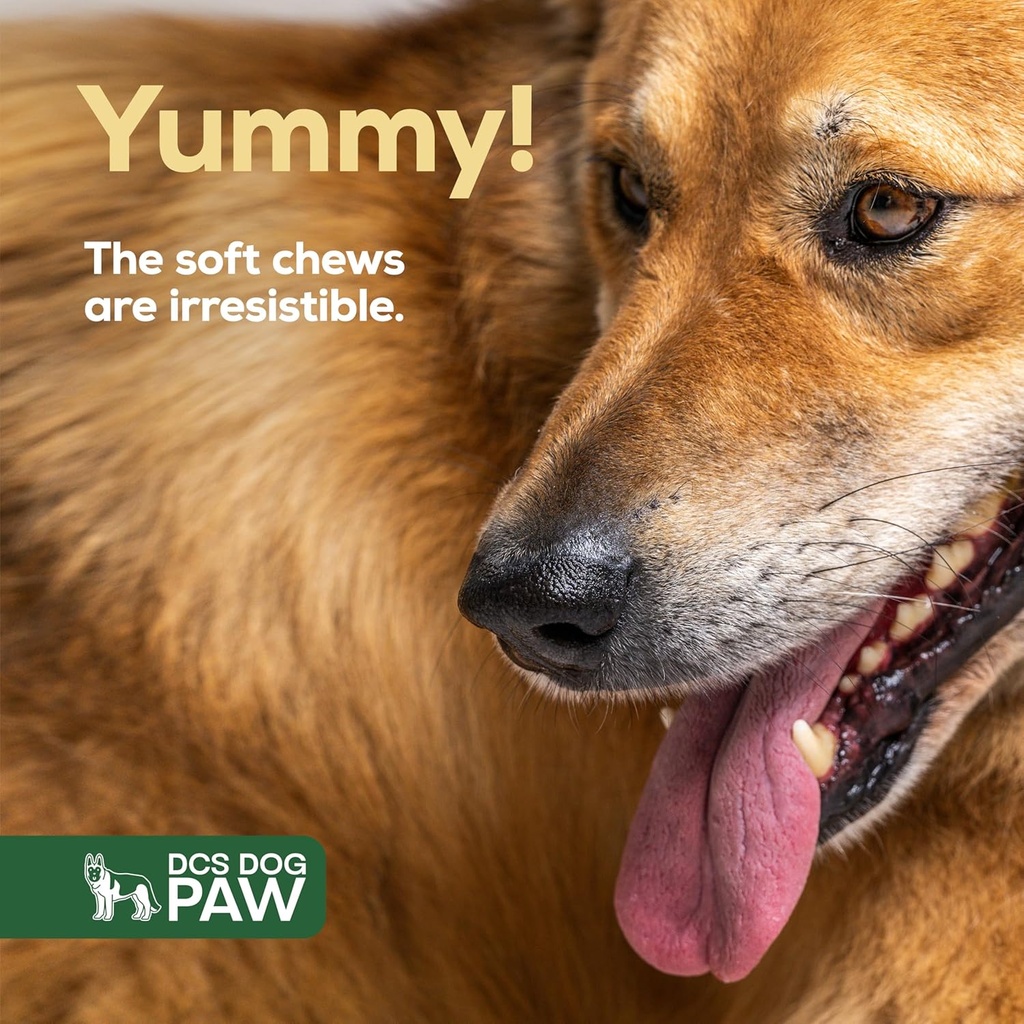 liver-kidney-supplement-dog-detox-chews--4.jpg