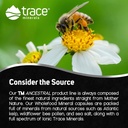 trace-minerals-wholefood-minerals---body-4.jpg