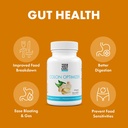 yes-you-can-probiotics-colon-optimizer-s-2.jpg