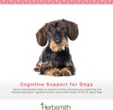 herbsmith-senior-dog-wisdom-dog-dementia-3.jpg