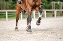 biotin-ii-22x-5lb-hoof-supplement-for-ho-3.jpg