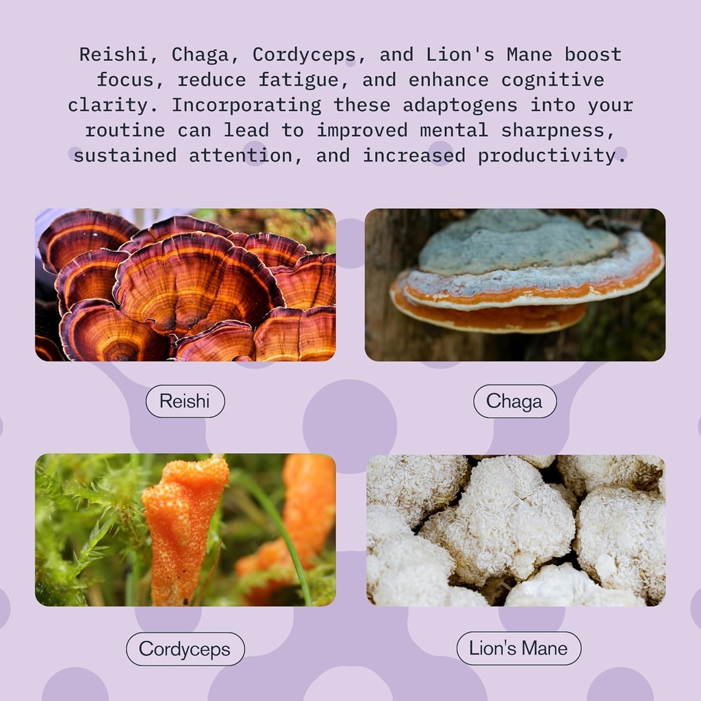mushroom-supplement-drink-fast-acting-vi-5.jpg
