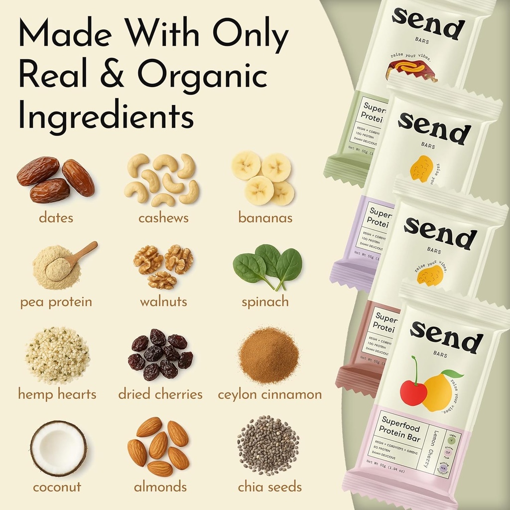 send-bars-plant-based-vegan-healthy-prot-3.jpg