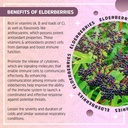 allergy-defense-gummies-delicious-gluten-5.jpg