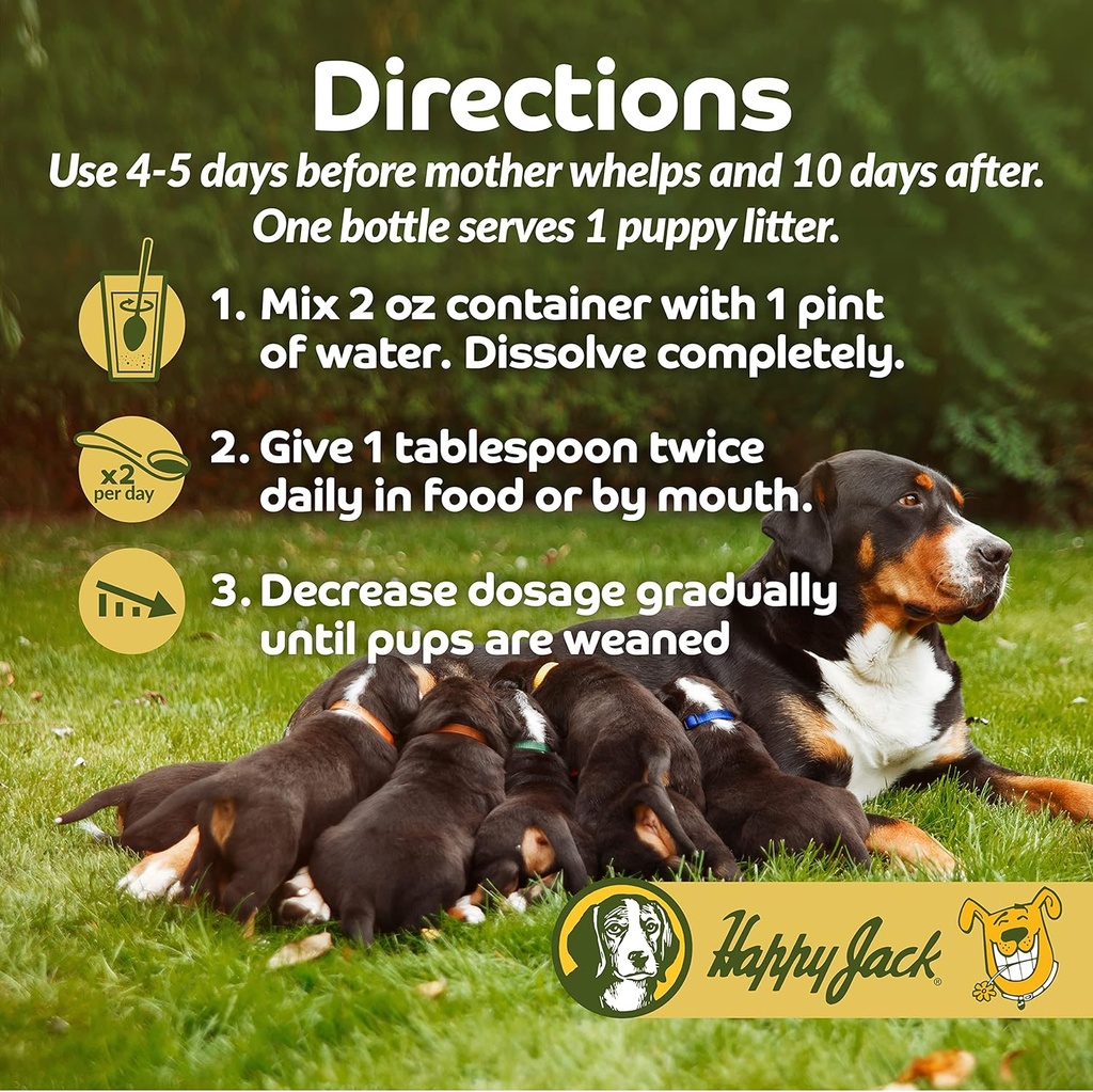 happy-jack-milkade-dog-breeding-nursing--6.jpg