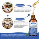 potassium-magnesium-supplement---high-ab-5.jpg