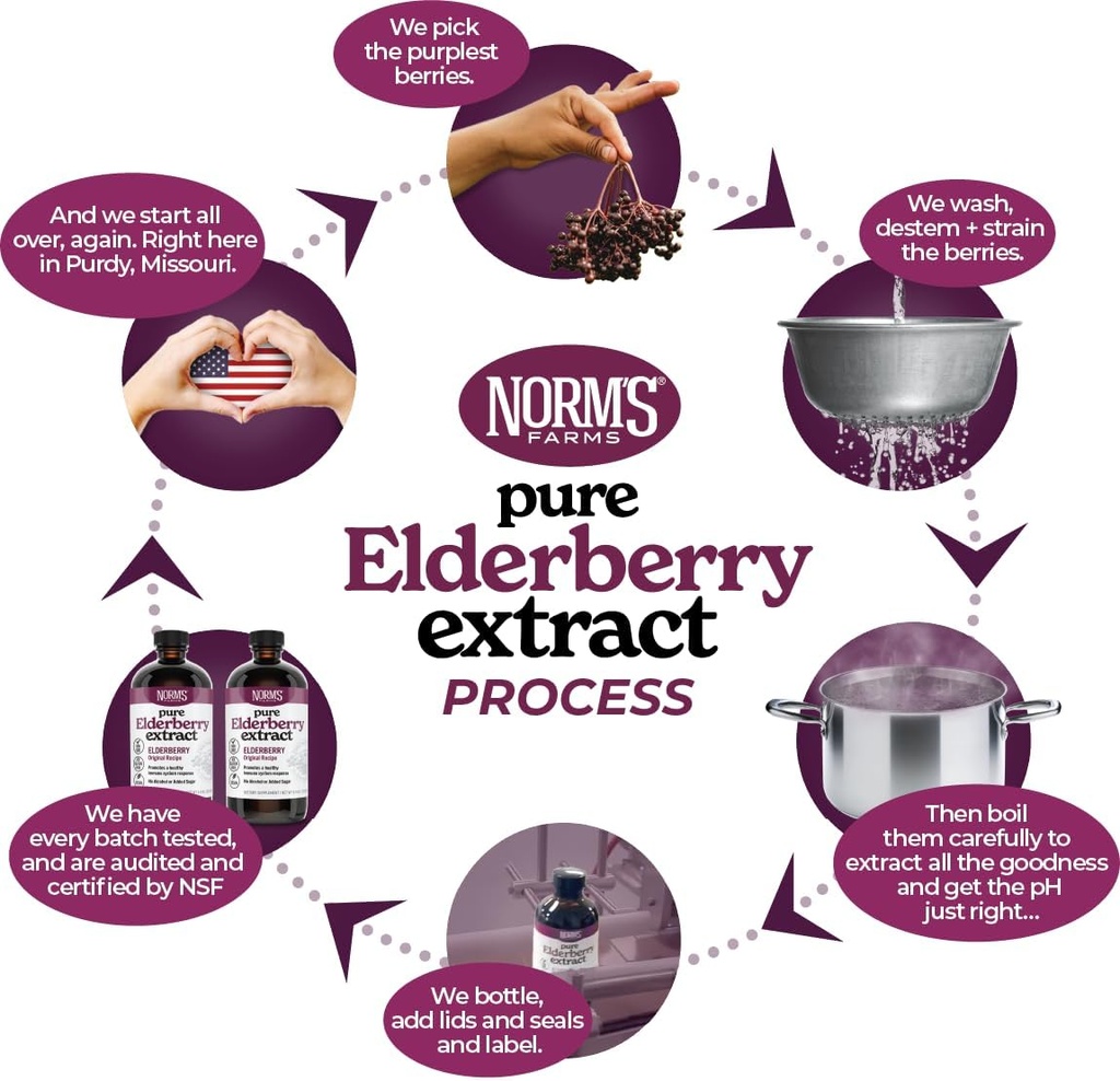 norms-farms-elderberry-extract-wellness--4.jpg