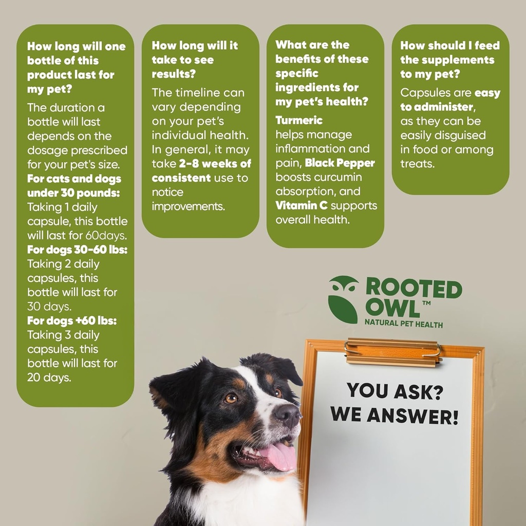 rooted-owl-turmeric---turmeric-supplemen-6.jpg