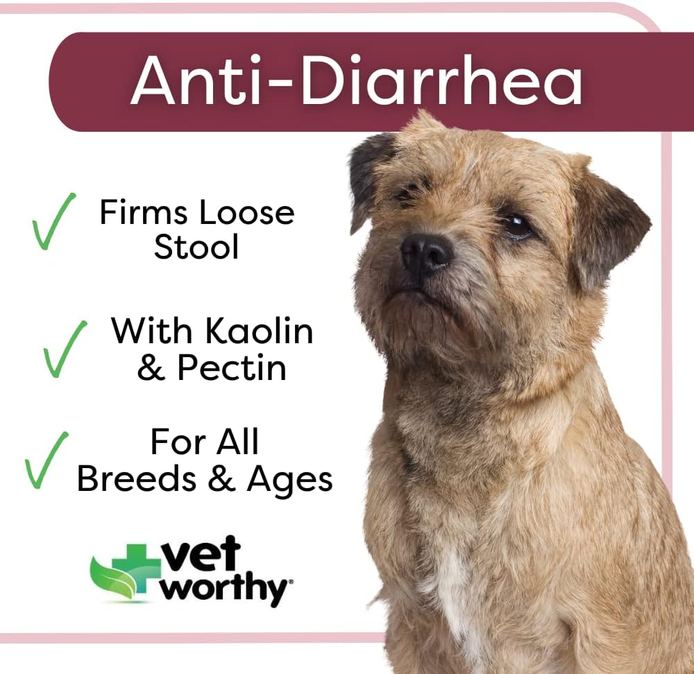 vet-worthy-anti-diarrhea-for-dogs---dog--2.jpg