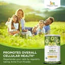 organic-veda-amla-powder-organic7oz---in-5.jpg