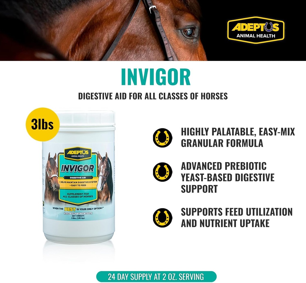 adeptus-nutrition-invigor-equine-digesti-2.jpg