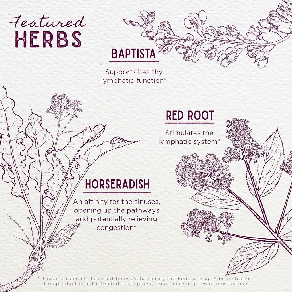 wishgarden-herbs-kick-ass-sinus---herbal-4.jpg
