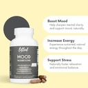 mood-mushrooms---lifted-mushroom-supplem-2.jpg