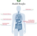 foods-for-gut-lactobacillus-casei-probio-3.jpg