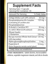 brain-memory-support---cognitive-functio-2.jpg