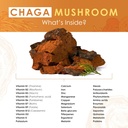 chaga-mushroom-extract-powder---organic--3.jpg
