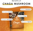 chaga-mushroom-extract-powder---organic--4.jpg