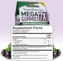 natures-answer-sambucus-mega-gummies-7x--3.jpg