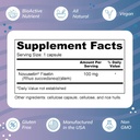 wellness-resources-fisetin---novusetin-f-2.jpg