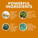yes-you-can-probiotics-colon-optimizer-s-3.jpg