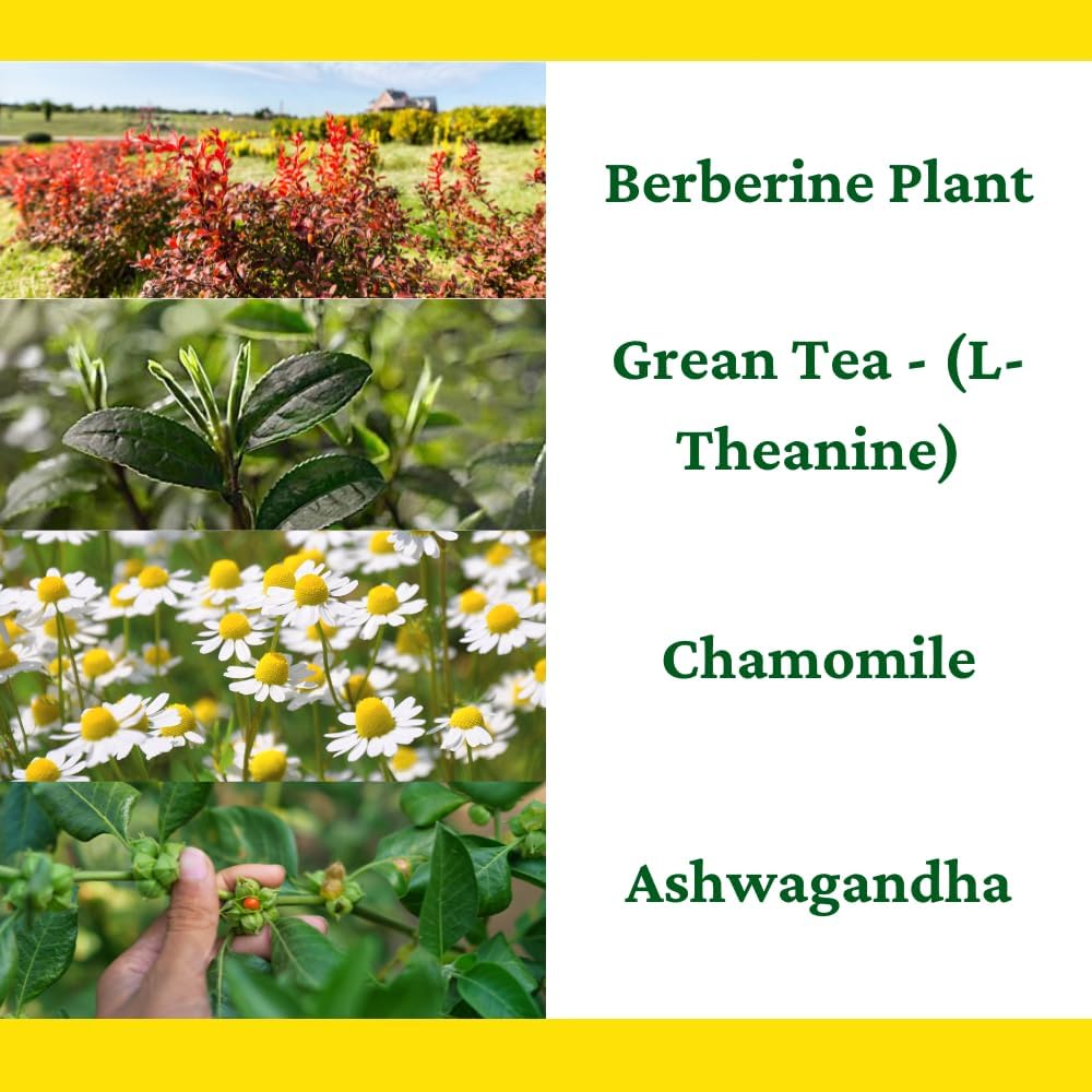 berberine---l-theanine---chamomile---ash-5.jpg