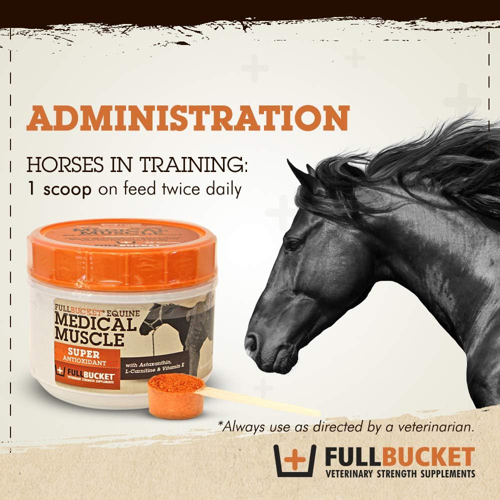 fullbucket-equine-medical-muscle-recover-5.jpg