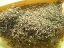 neotea-azadirachta-indica-neem-flower-po-3.jpg