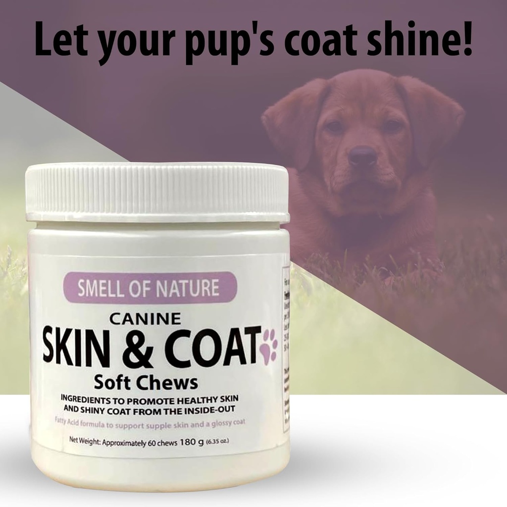 dog-skin-coat-supplement-chews---skin-he-2.jpg