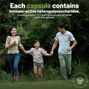 aloha-medicinals-immune-assist-critical--4.jpg