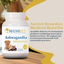 ayush-pet-ashwagandha-capsules-for-dogs--6.jpg