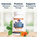 natural-brain-booster-for-memory-brain-h-2.jpg