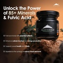pure-himalayan-organic-shilajit-resin-su-5.jpg