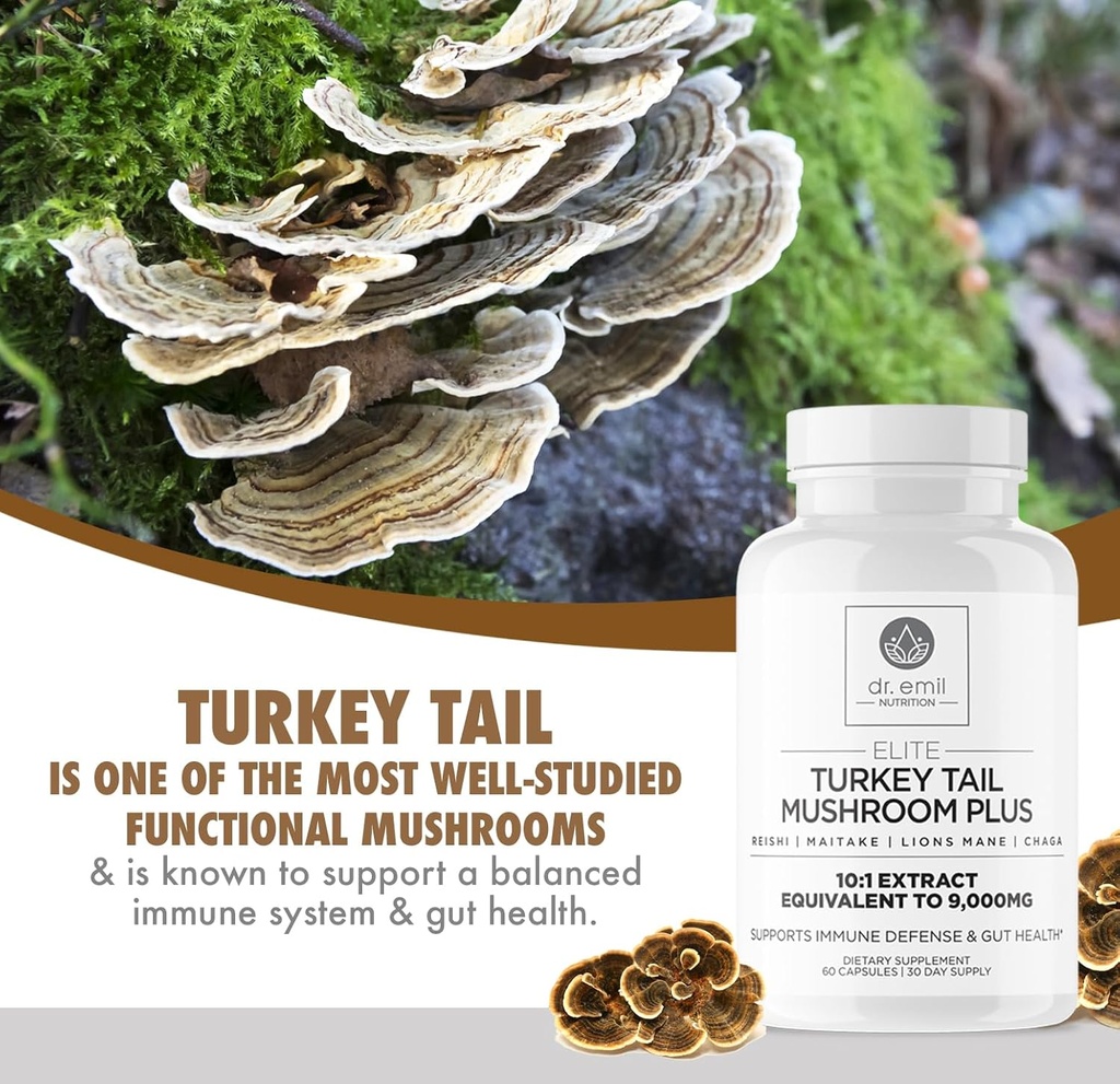 dr-emil-nutrition-turkey-tail-mushroom-c-3.jpg